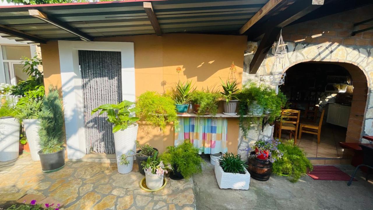 Colorful And Happy Apartment Sukosan - With Parking 외부 사진